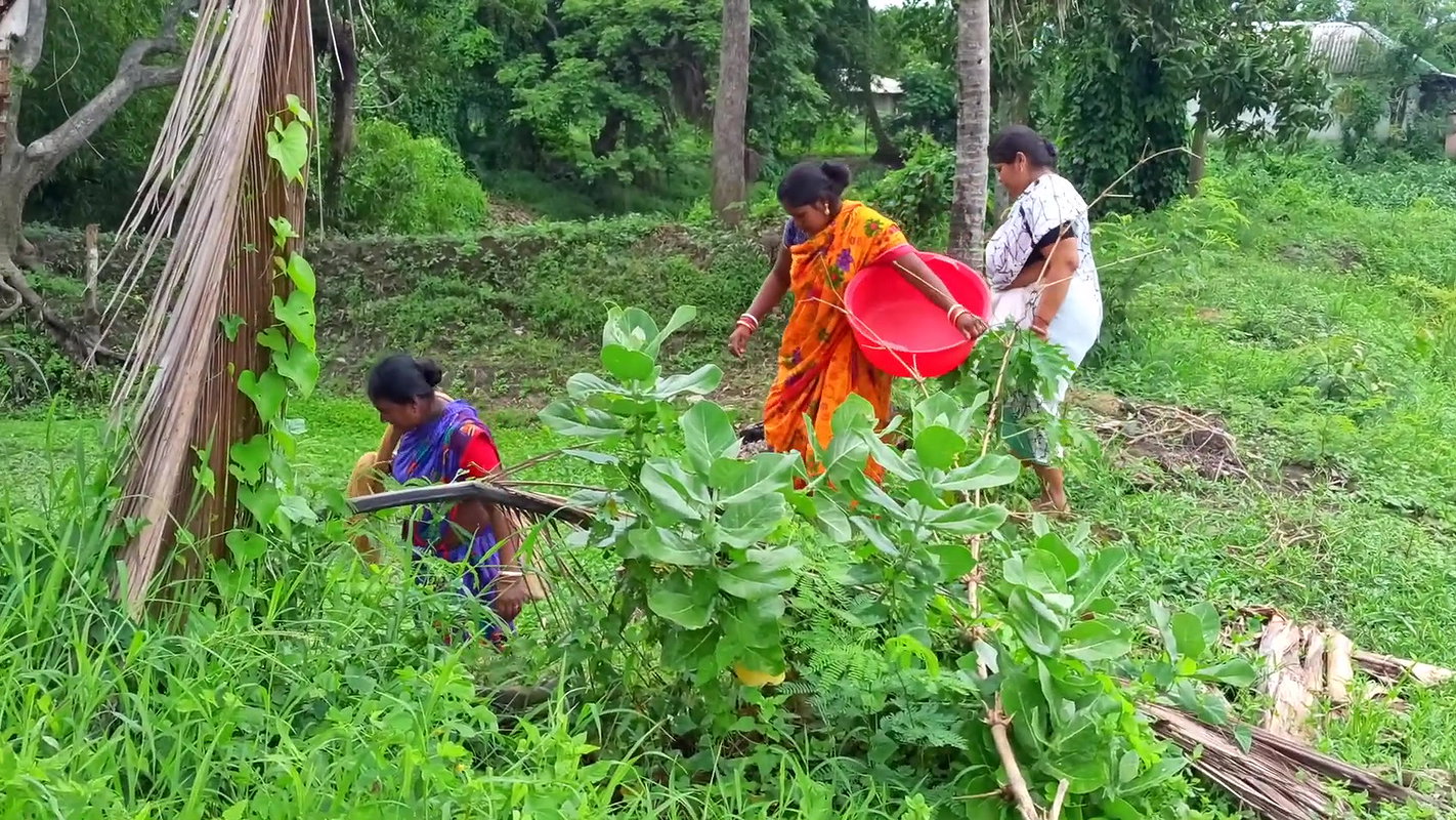 Best Village women fishing video   fishing in vill