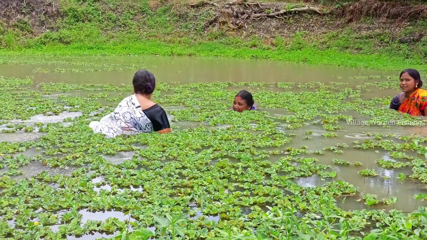 Best Village women fishing video   fishing in vill