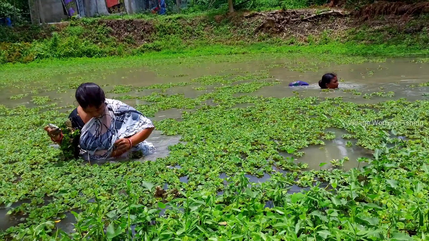 Best Village women fishing video   fishing in vill