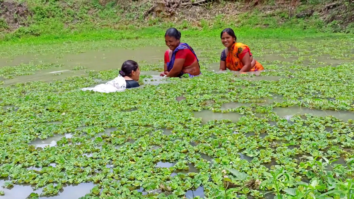 Best Village women fishing video   fishing in vill