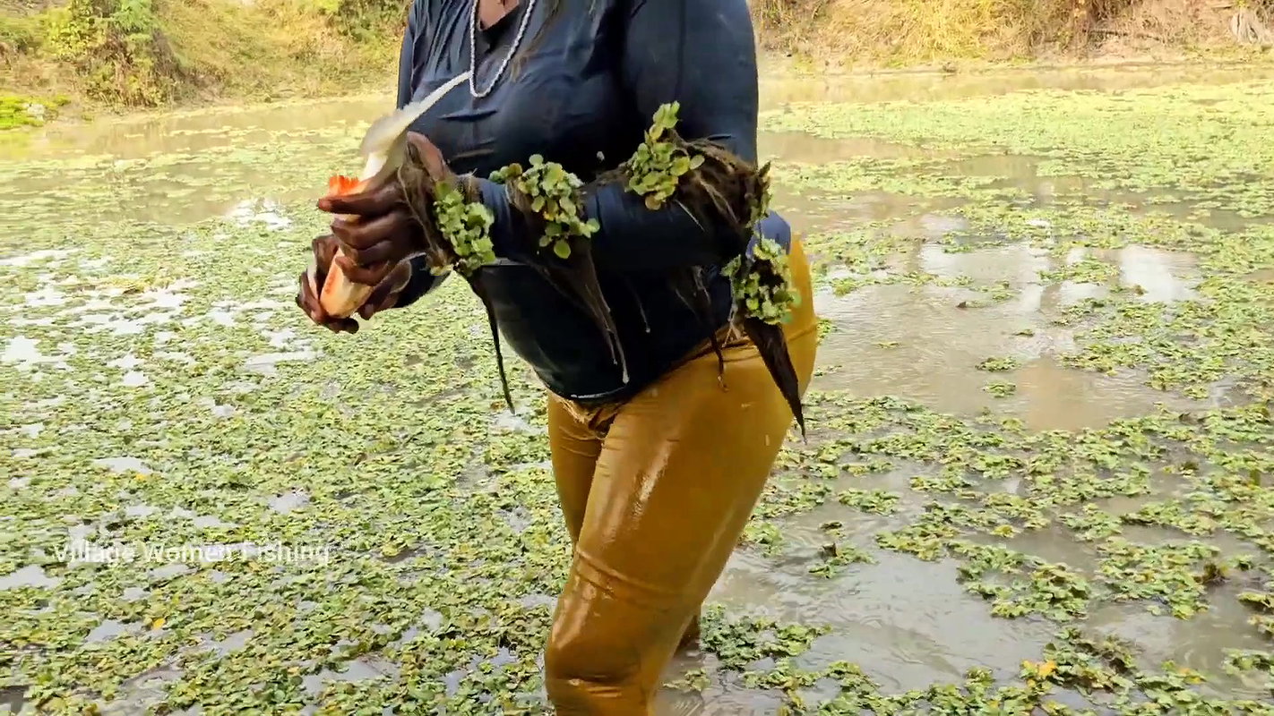Best Village Women Fishing video    Village Women