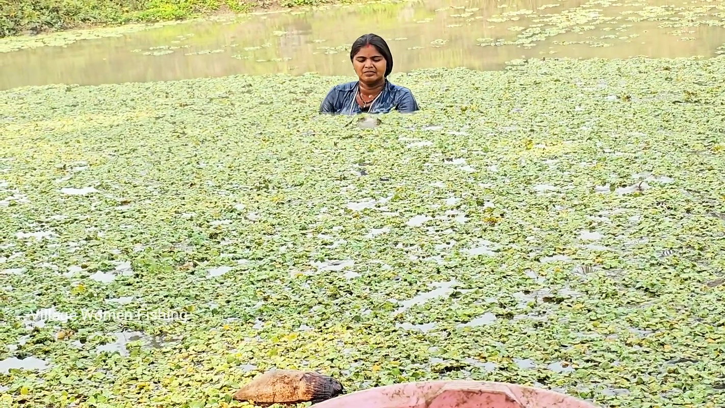 Best Village Women Fishing video    Village Women