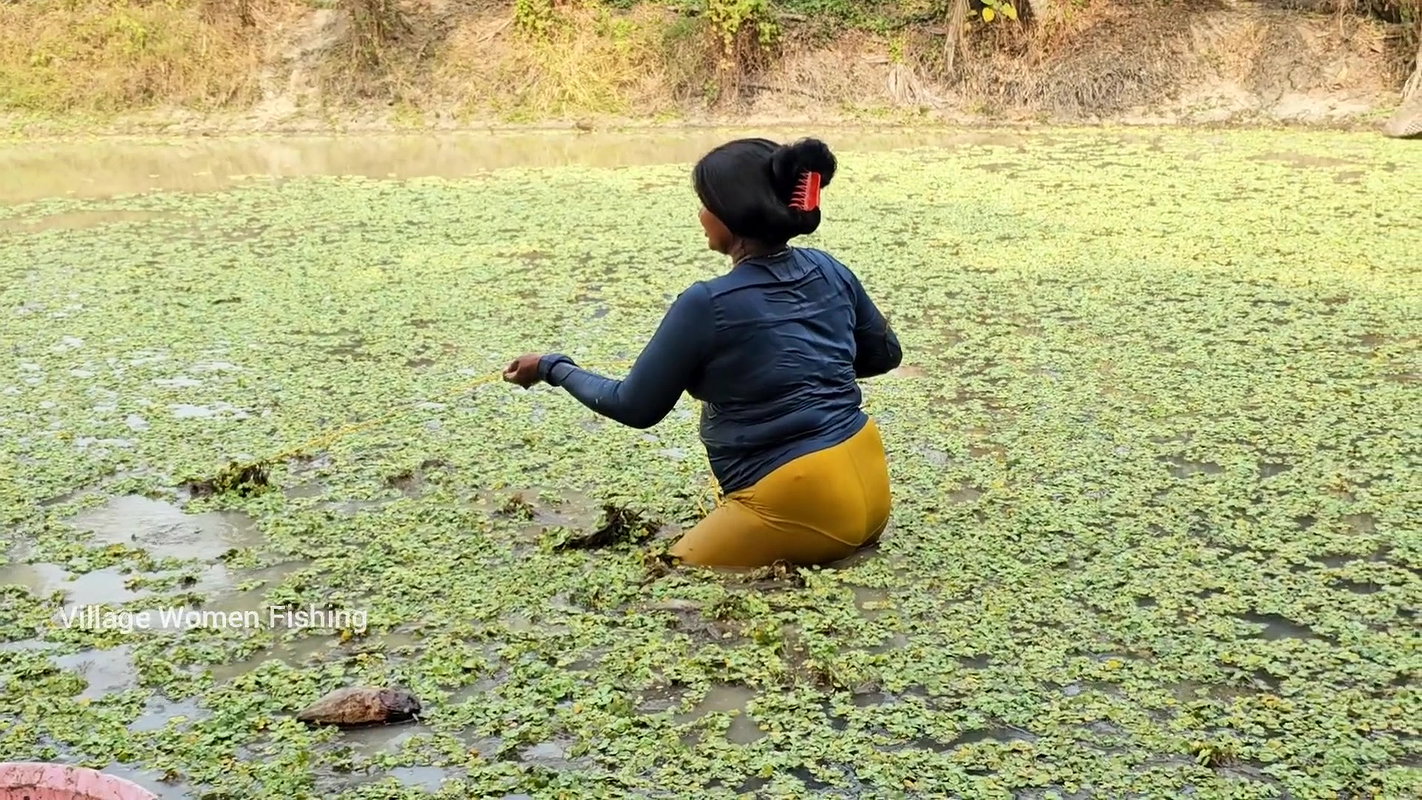 Best Village Women Fishing video    Village Women