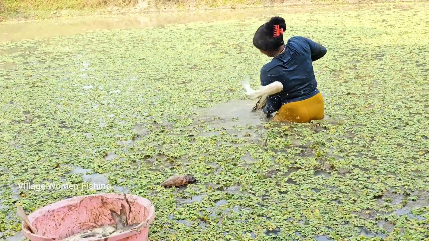 Best Village Women Fishing video    Village Women