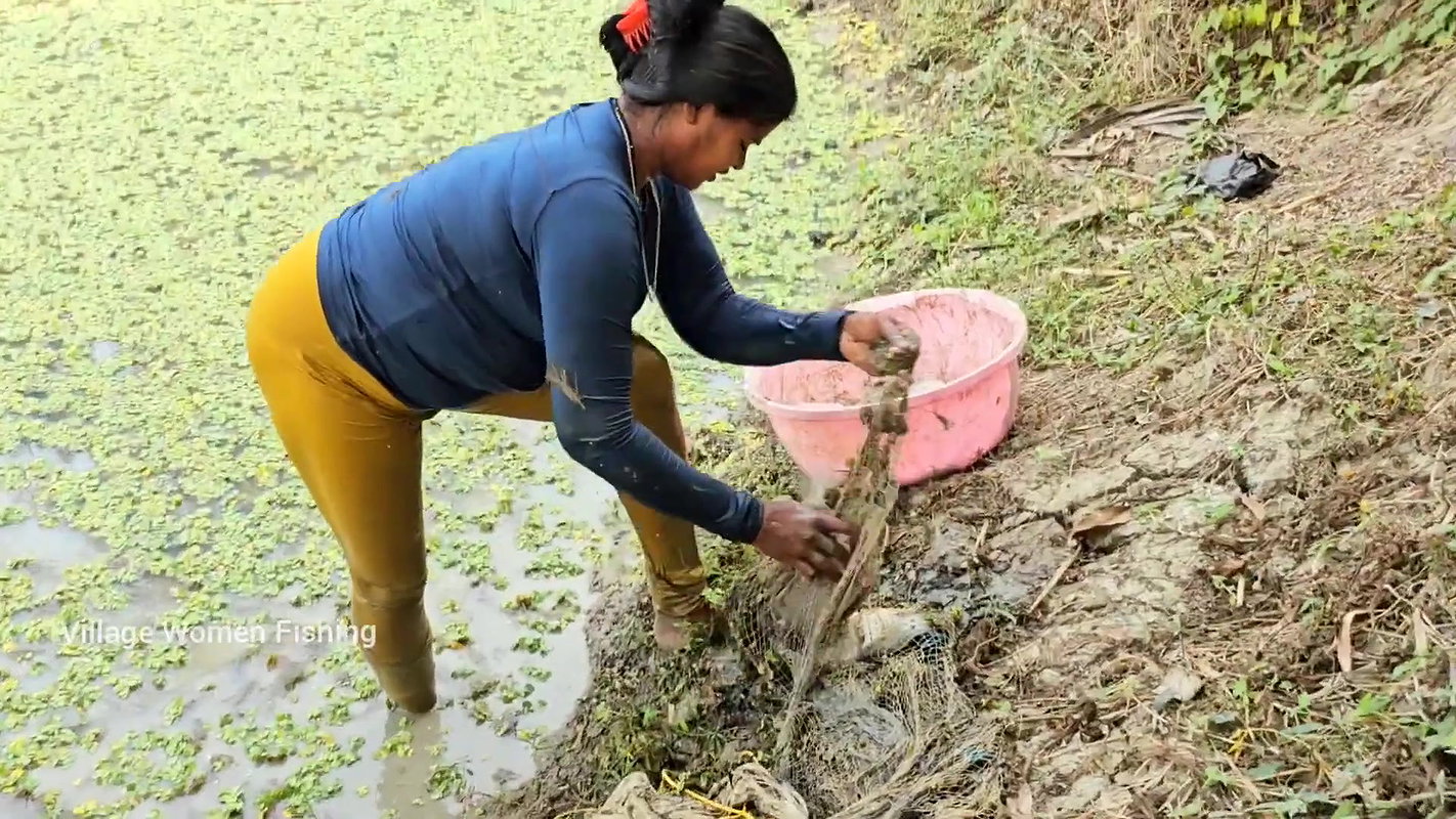 Best Village Women Fishing video    Village Women