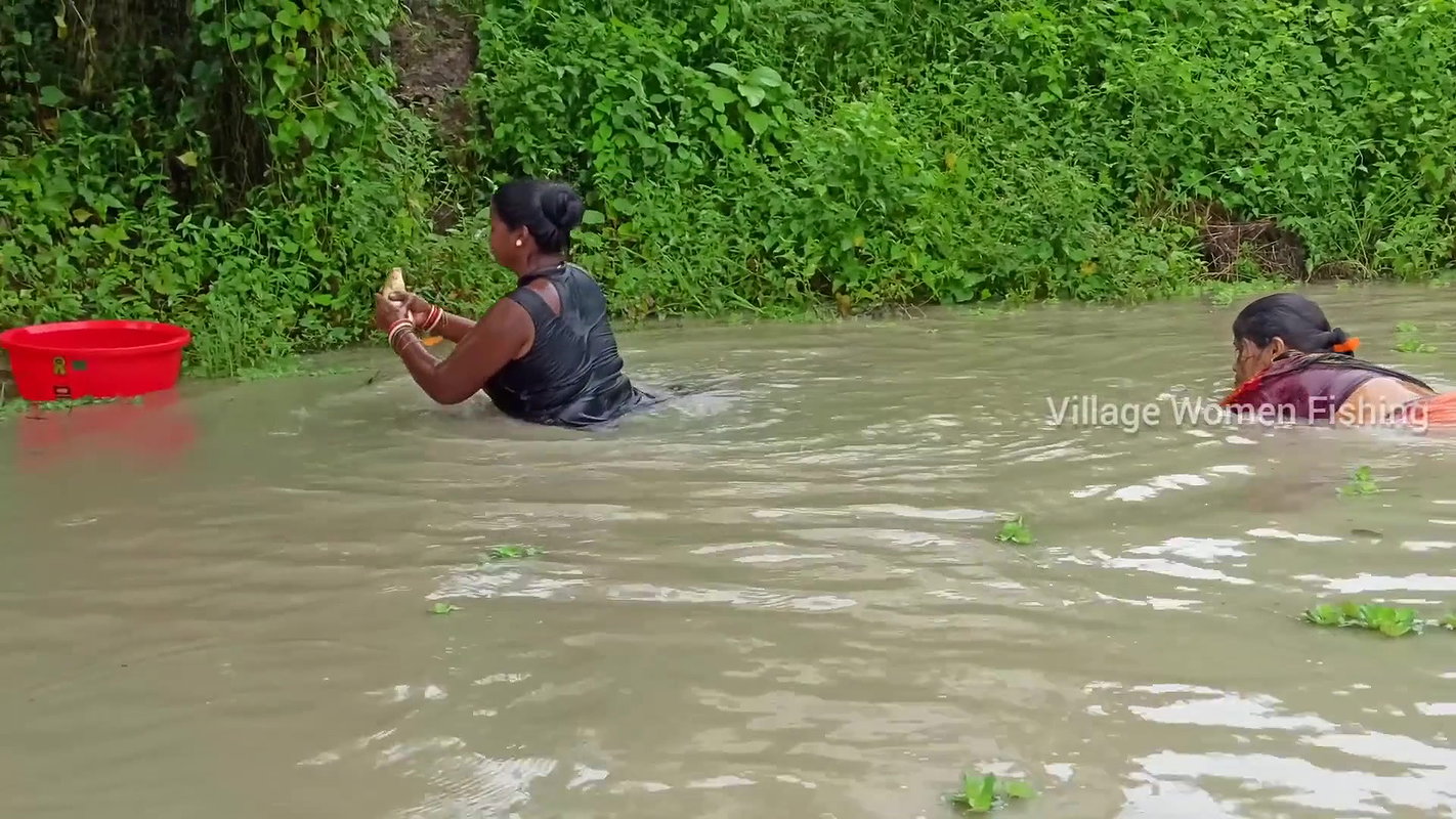 Best women Hand fishing in mud water   Village wom