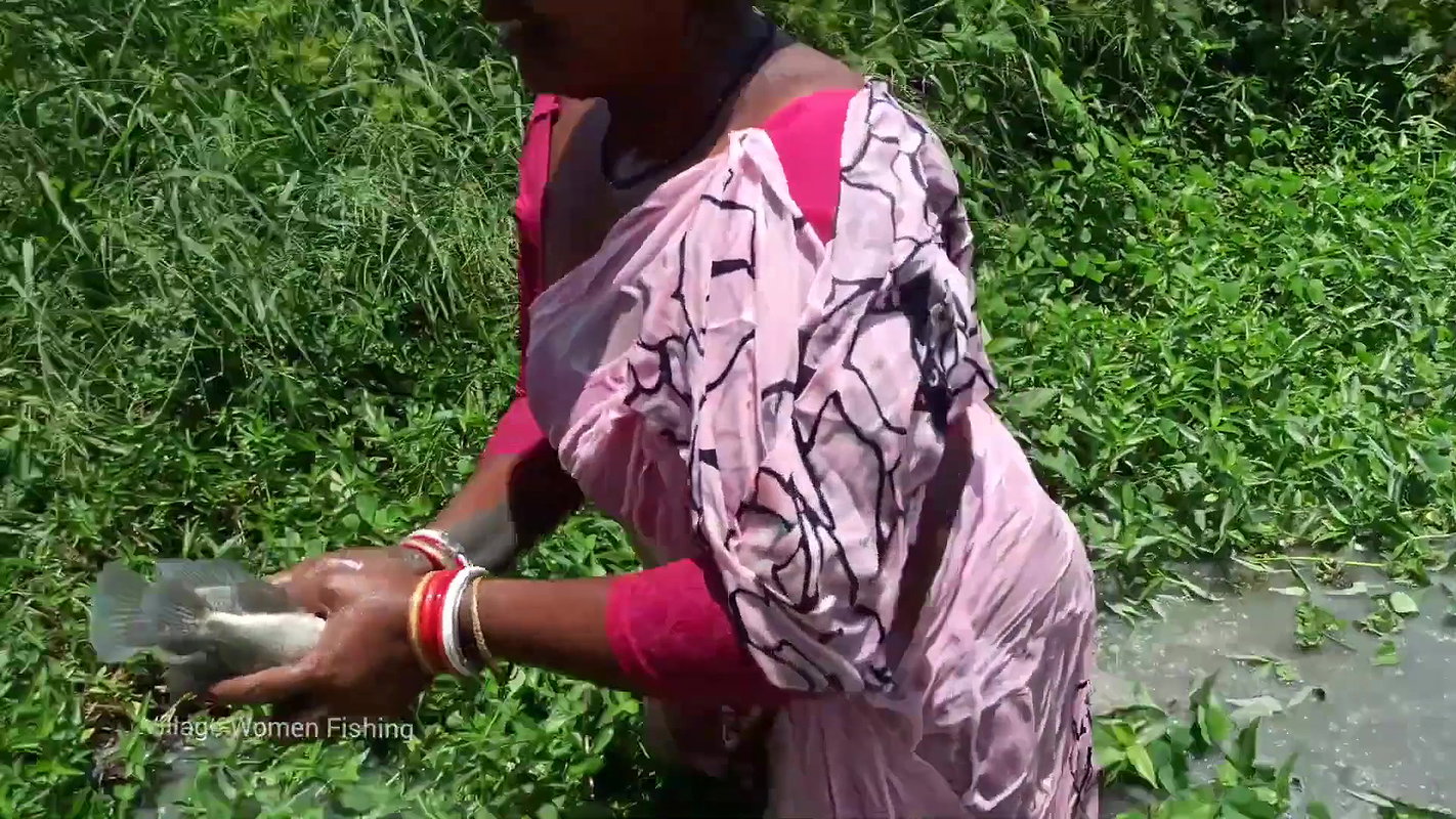 Best women net fishing video in village pond