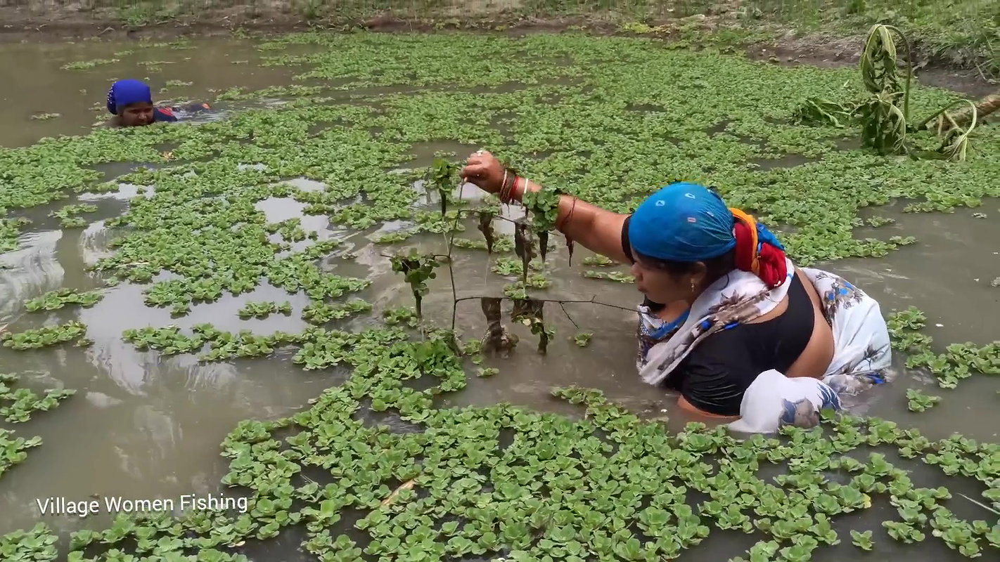 Best Women Net Fishing Video   Mouni fishing with