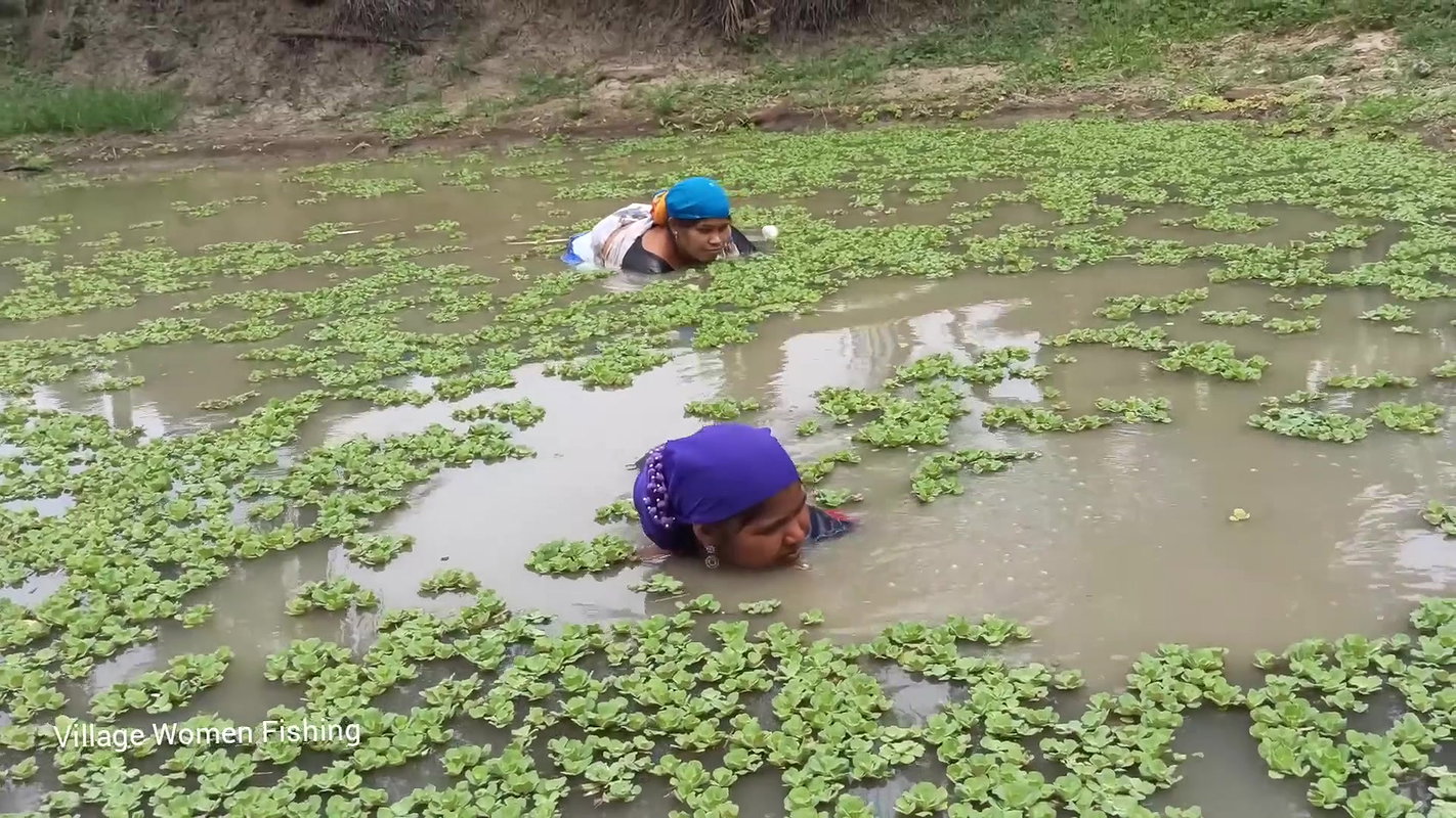 Best Women Net Fishing Video   Mouni fishing with