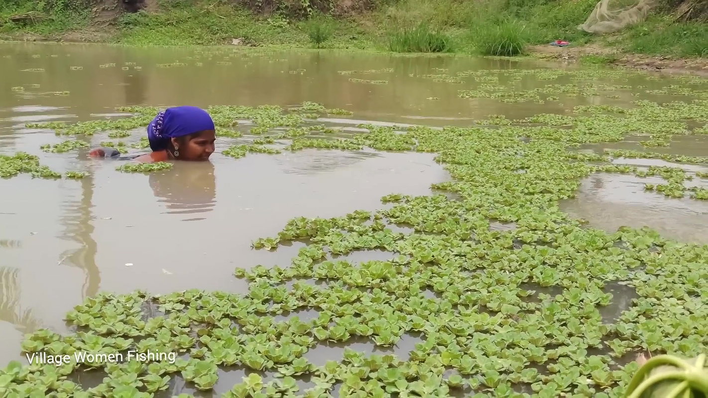 Best Women Net Fishing Video   Mouni fishing with