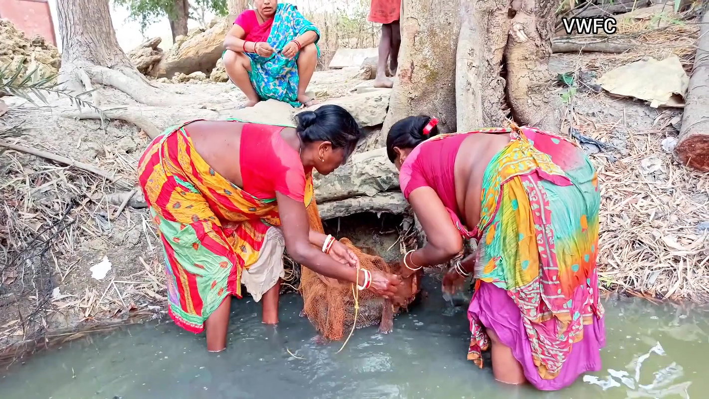 x Cast Net Fishing By Village Women    Best Village