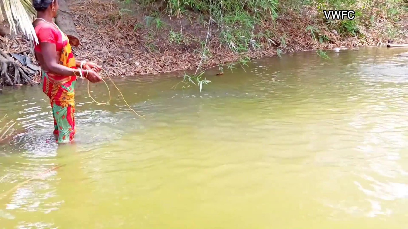 x Cast Net Fishing By Village Women    Best Village