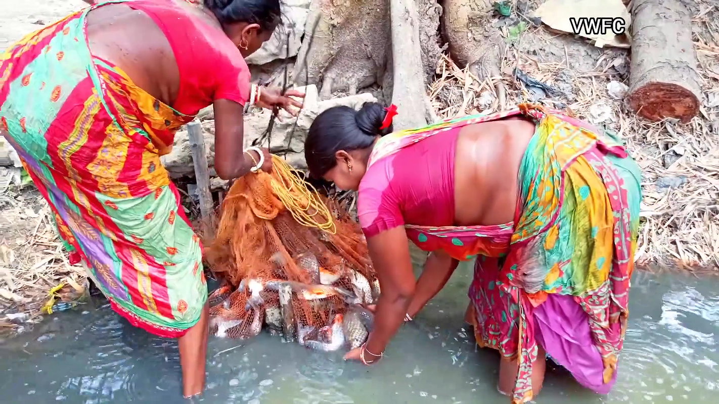 x Cast Net Fishing By Village Women    Best Village