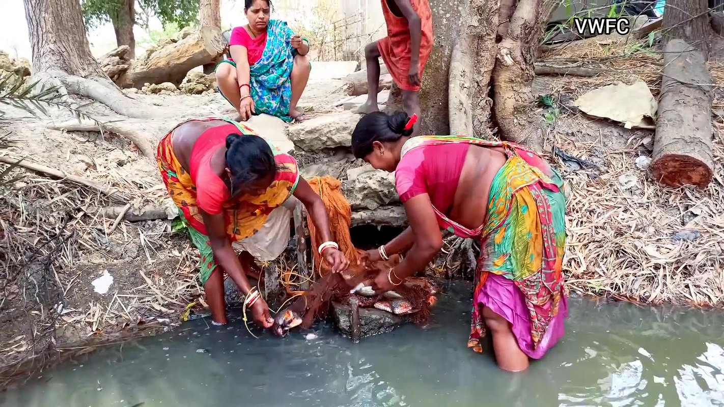 x Cast Net Fishing By Village Women    Best Village