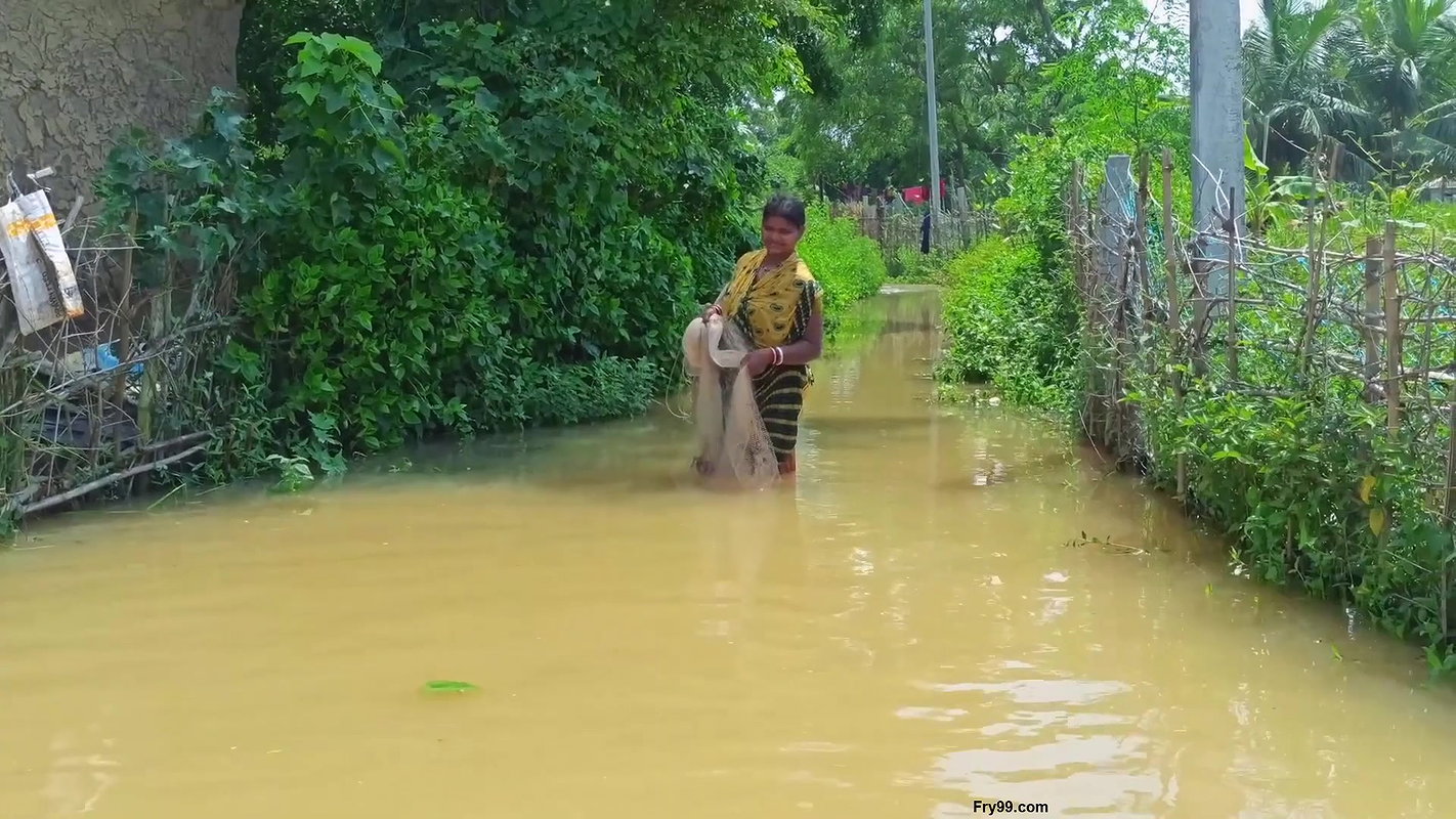 CAST NET FISHING BY WOMEN IN FLOOD WATER    NET FI