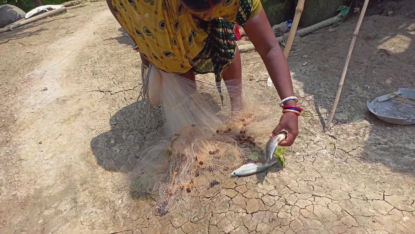 CAST NET FISHING BY WOMEN IN FLOOD WATER    NET FI