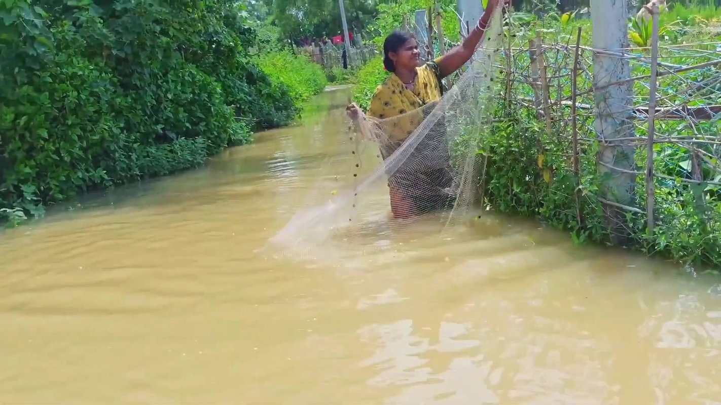 CAST NET FISHING BY WOMEN IN FLOOD WATER    NET FI