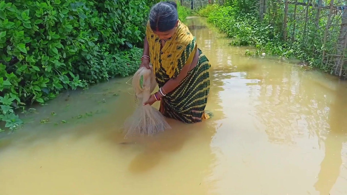 CAST NET FISHING BY WOMEN IN FLOOD WATER    NET FI