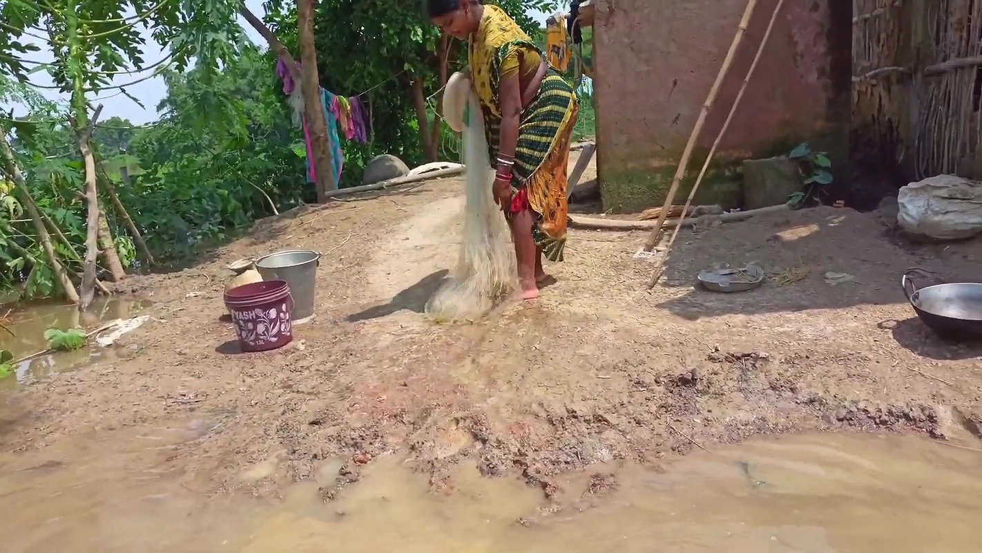 CAST NET FISHING BY WOMEN IN FLOOD WATER    NET FI