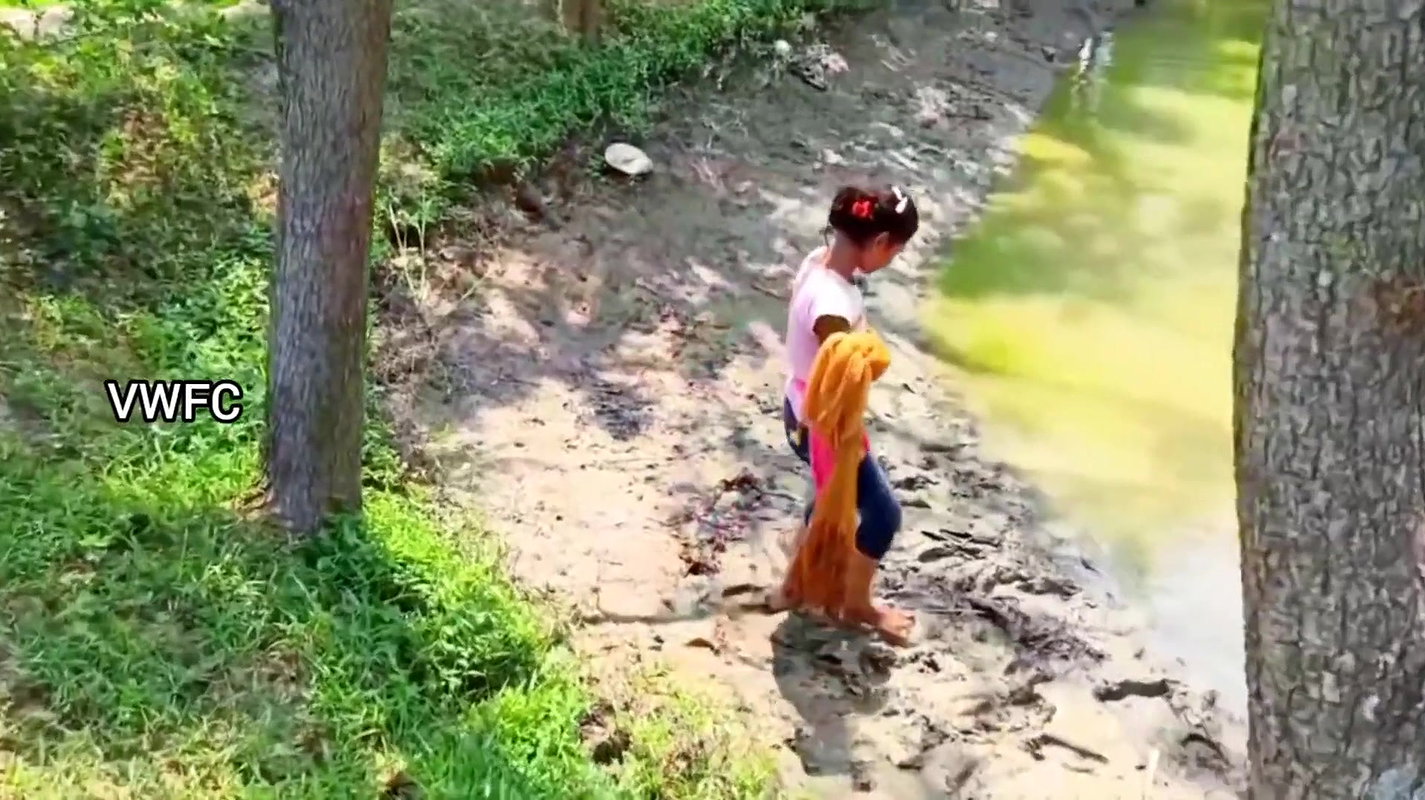 Cast Net Fishing    Best Fishing Video