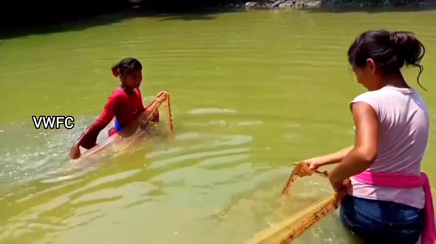 Cast Net Fishing    Best Fishing Video