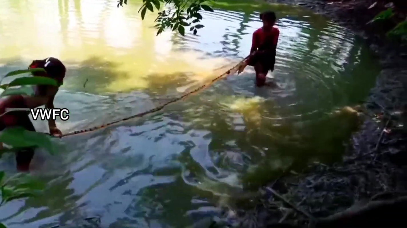 Cast Net Fishing    Best Fishing Video