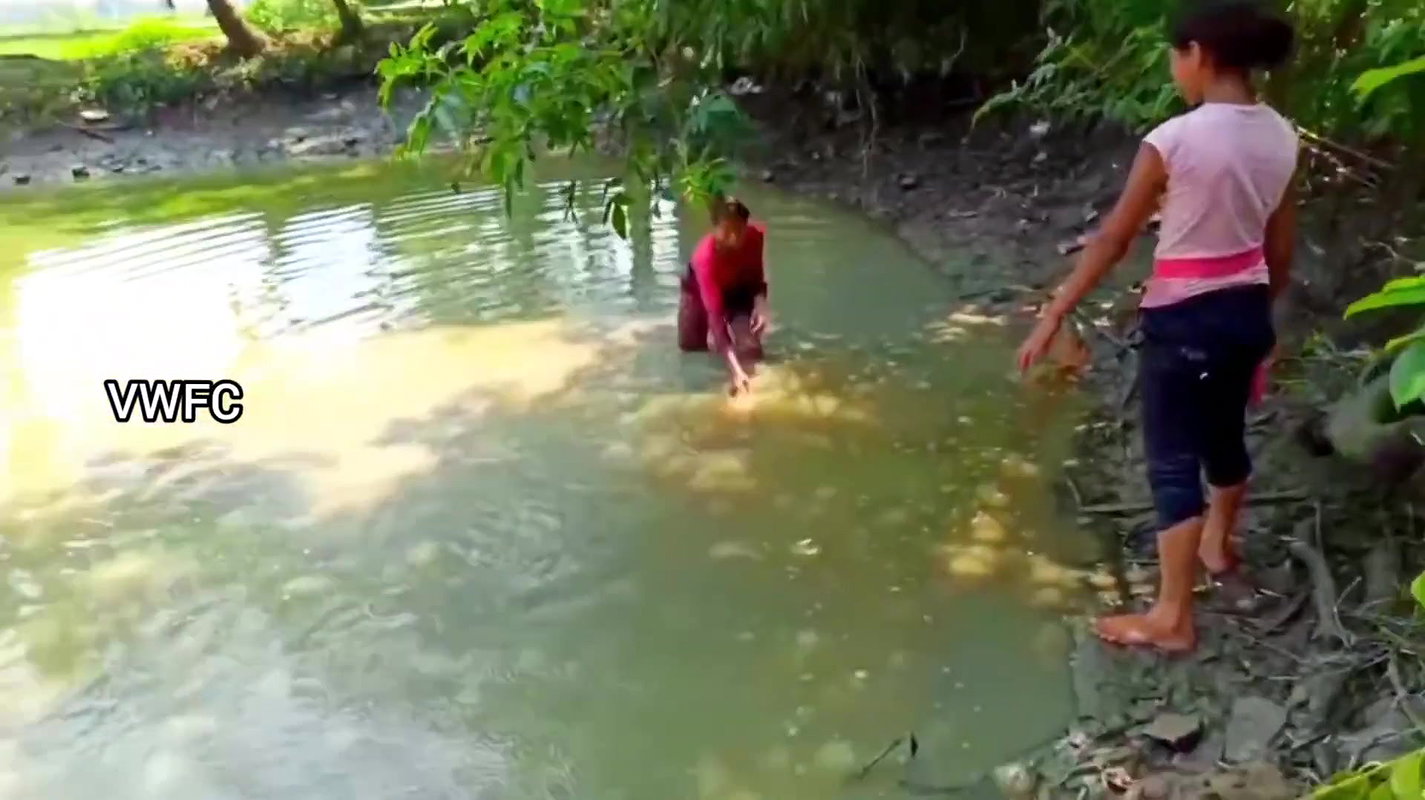 Cast Net Fishing    Best Fishing Video