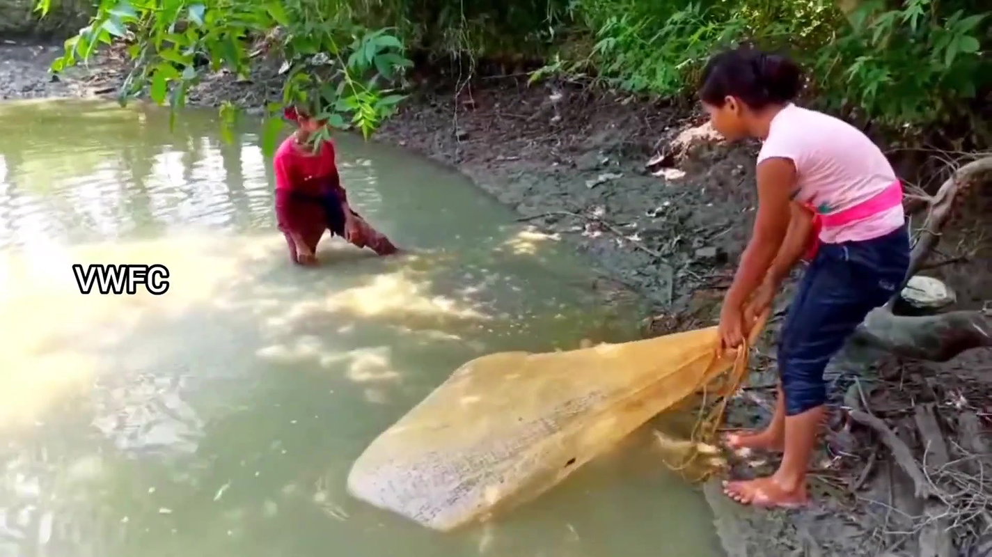 Cast Net Fishing    Best Fishing Video