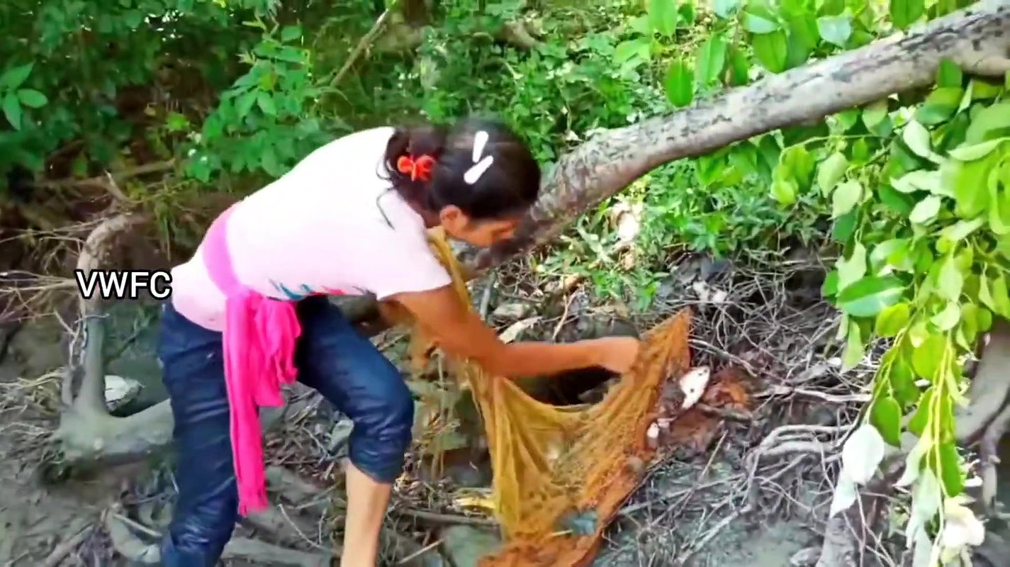 Cast Net Fishing    Best Fishing Video