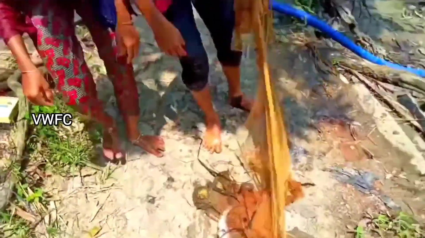 Cast Net Fishing    Best Fishing Video