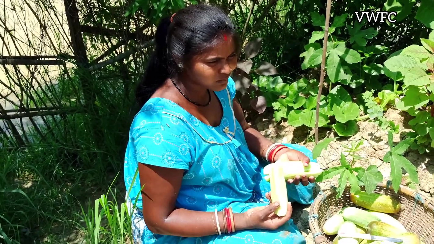 Cucumber Harvesting in My Garden   আমার বাগানে শসা