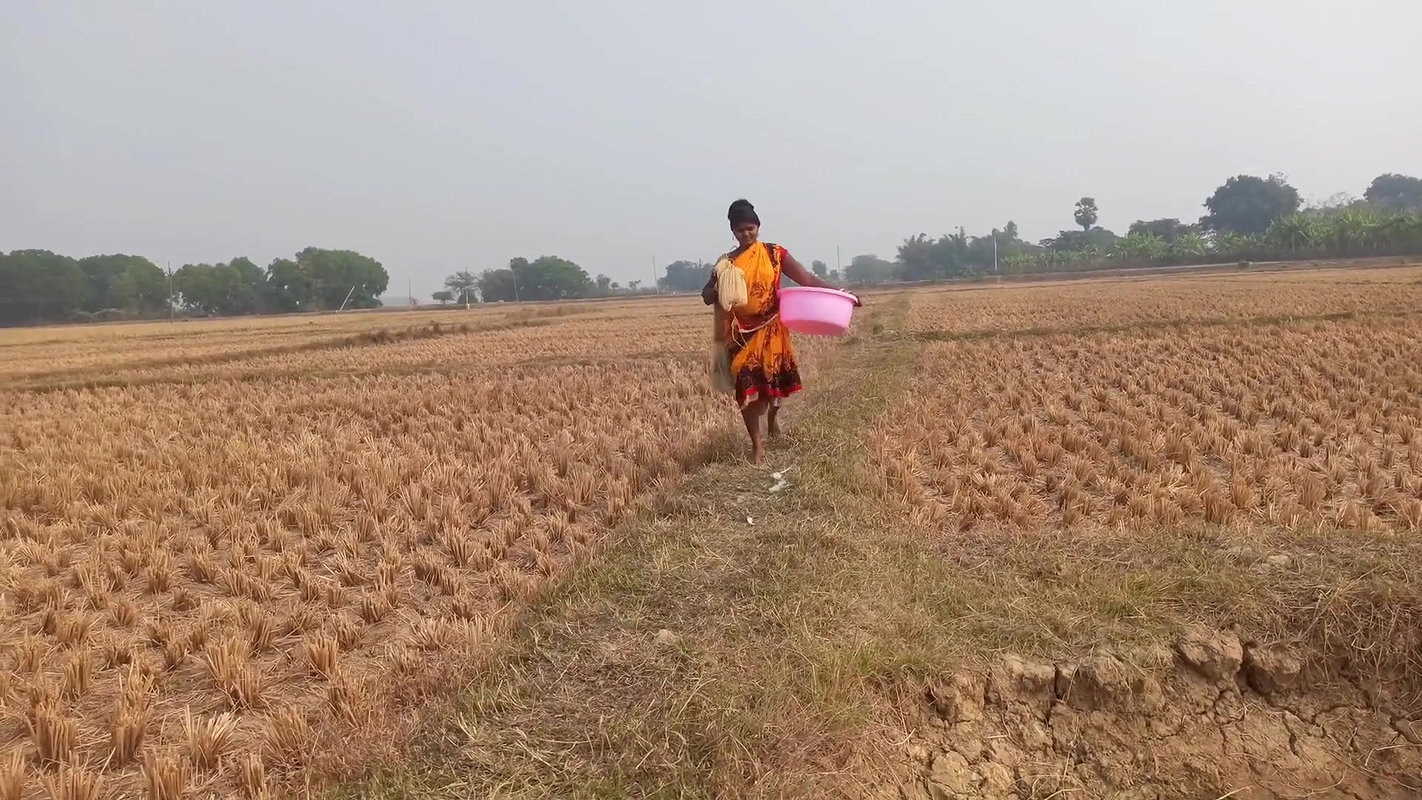 x Daring Village women fishing giant Cat fish   Vill