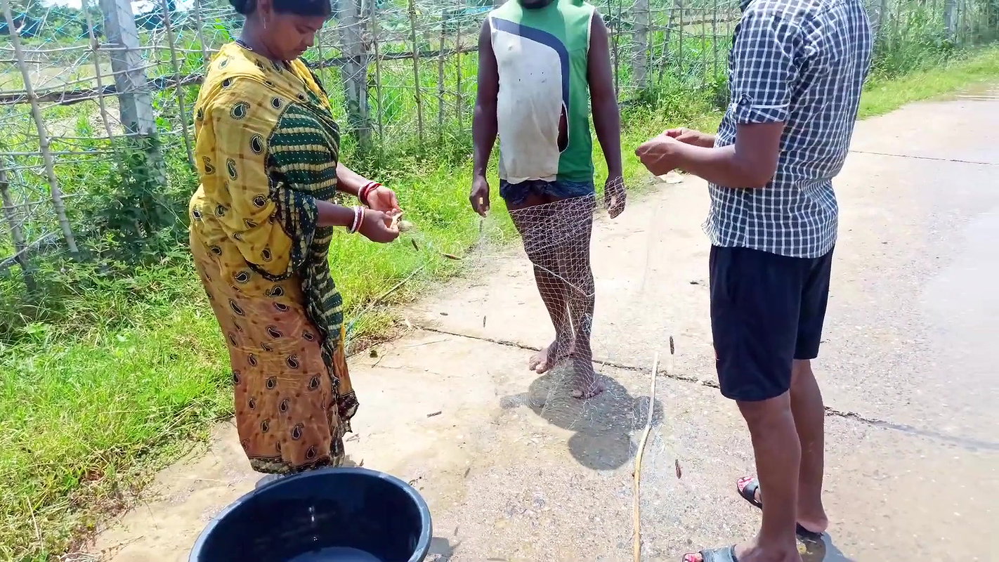 Fun and Fishing in Flood   Fishing in ଓଡିଶା Flood