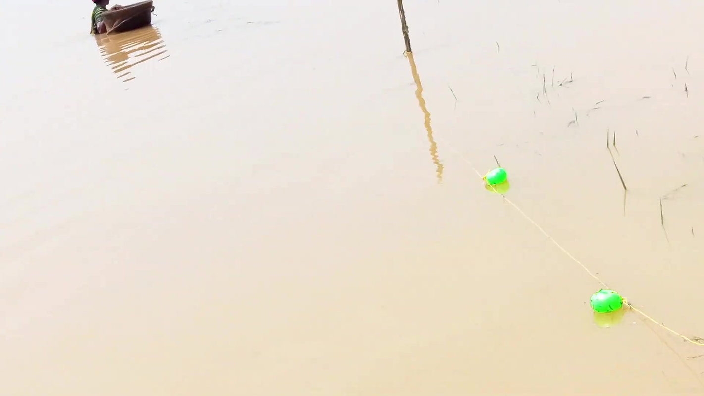 Fun and Fishing in Flood   Fishing in ଓଡିଶା Flood