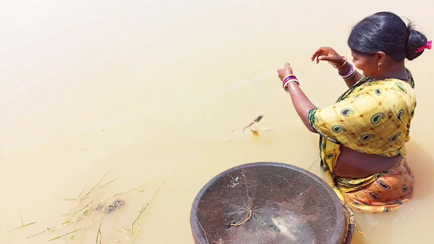 Fun and Fishing in Flood   Fishing in ଓଡିଶା Flood
