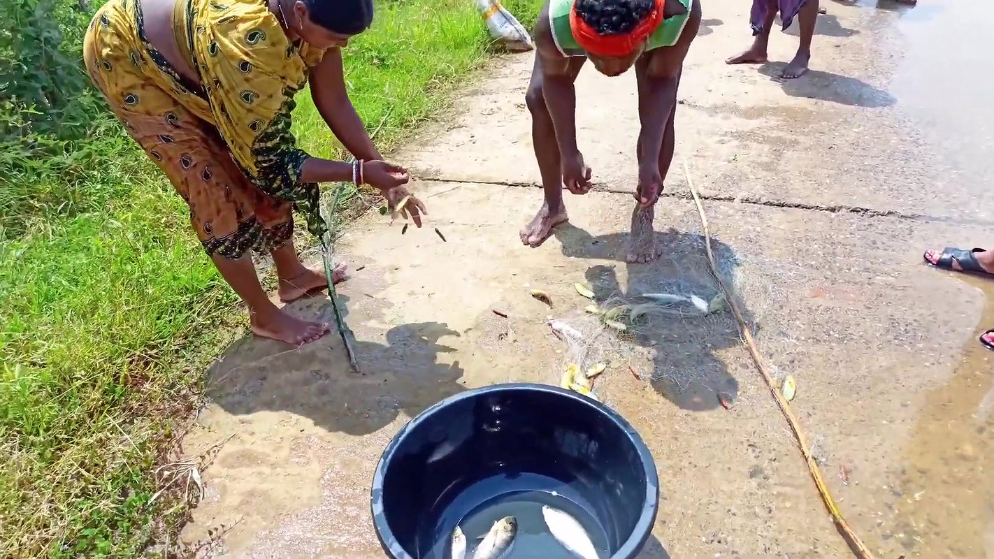 Fun and Fishing in Flood   Fishing in ଓଡିଶା Flood