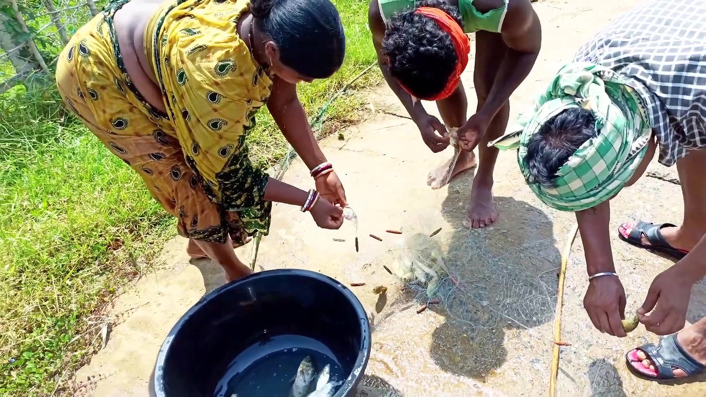 Fun and Fishing in Flood   Fishing in ଓଡିଶା Flood
