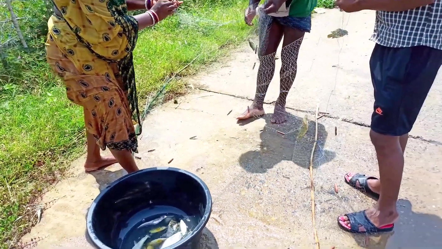 Fun and Fishing in Flood   Fishing in ଓଡିଶା Flood