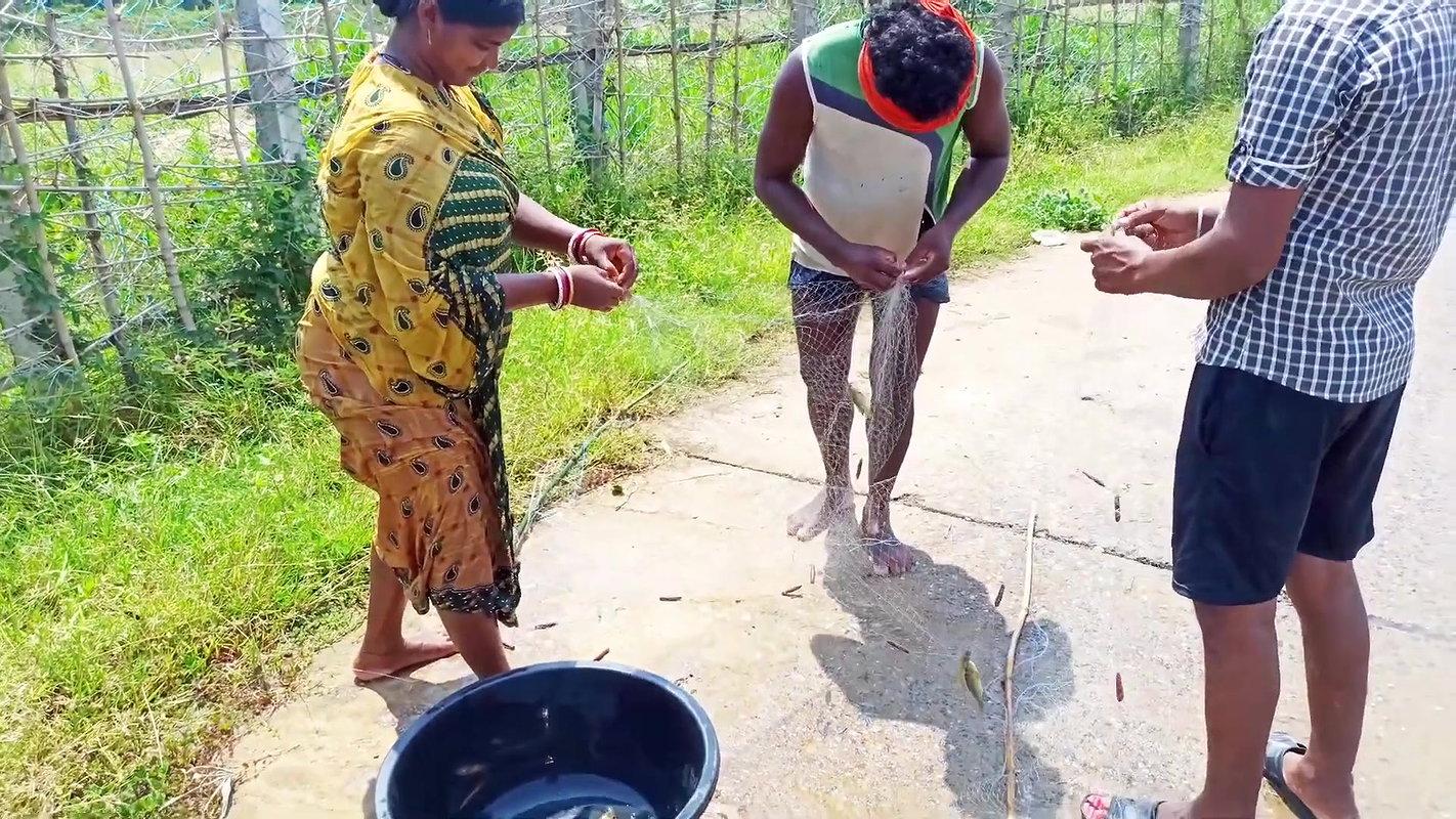 Fun and Fishing in Flood   Fishing in ଓଡିଶା Flood