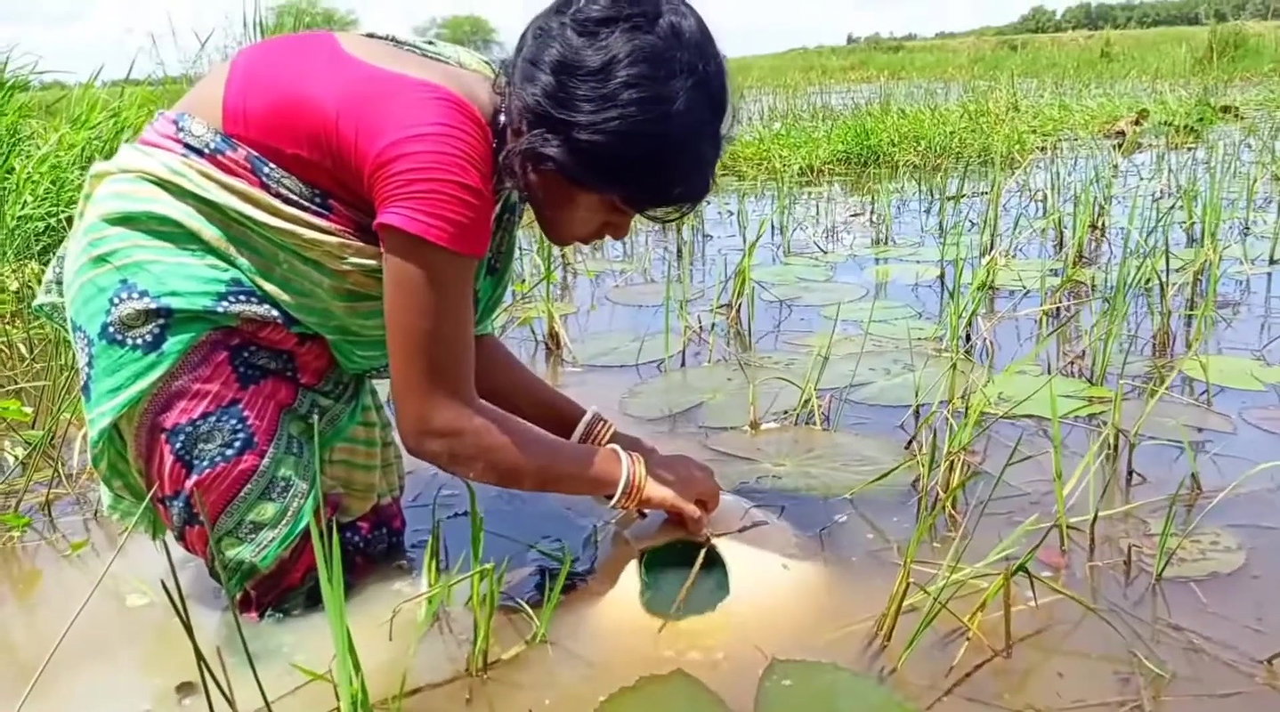 How to catch fish with Money Saving Ball    Villag