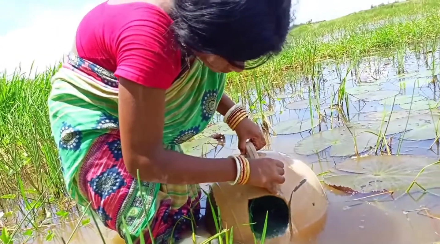 How to catch fish with Money Saving Ball    Villag