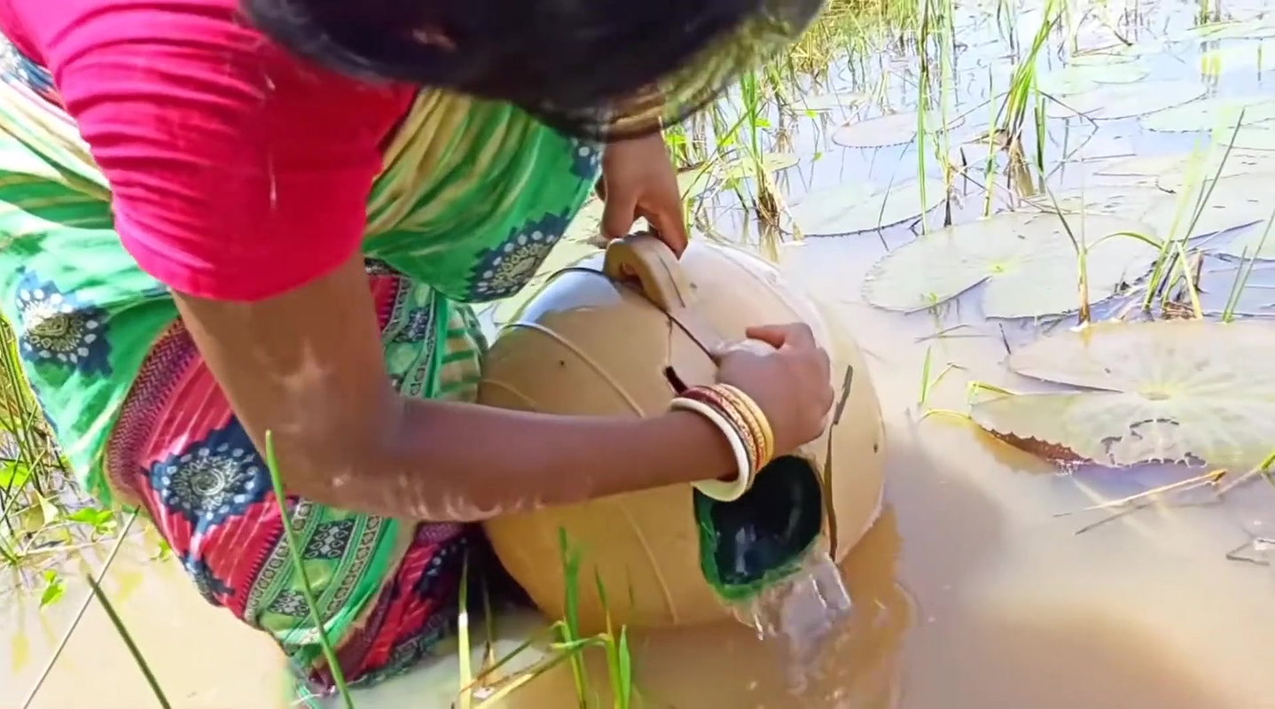 How to catch fish with Money Saving Ball    Villag