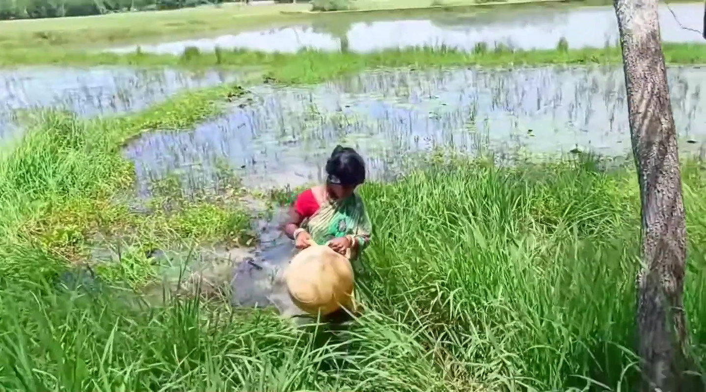 How to catch fish with Money Saving Ball    Villag