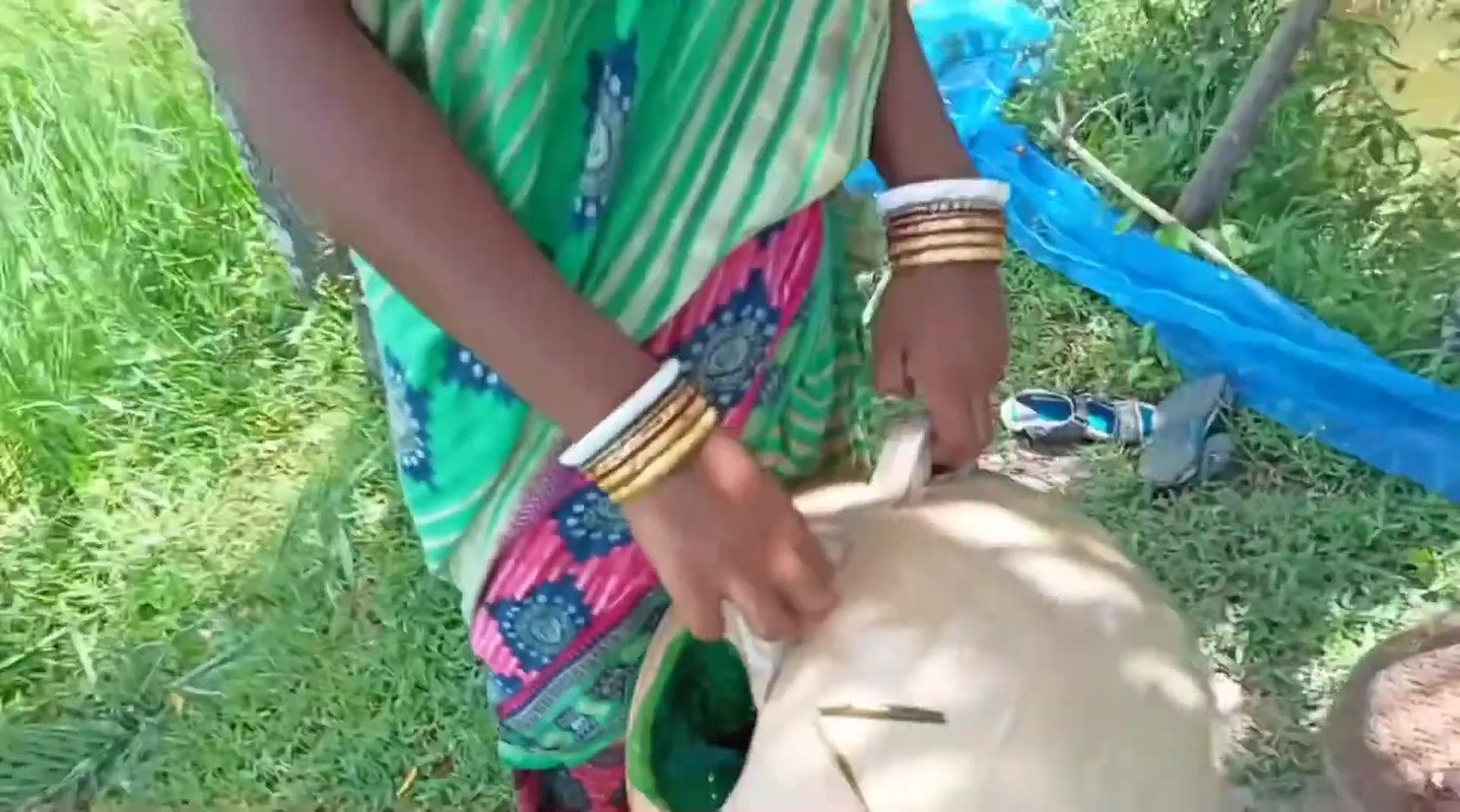 How to catch fish with Money Saving Ball    Villag