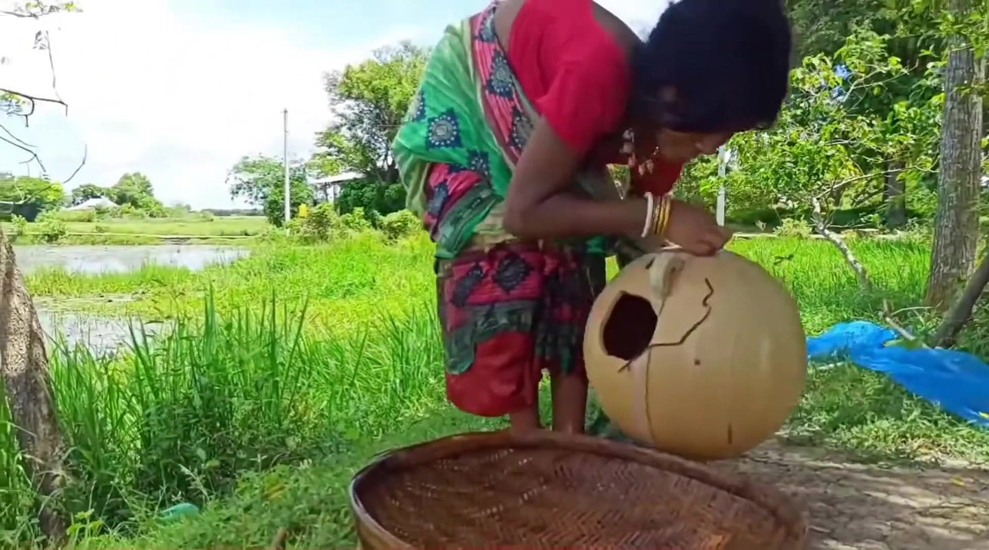 How to catch fish with Money Saving Ball    Villag