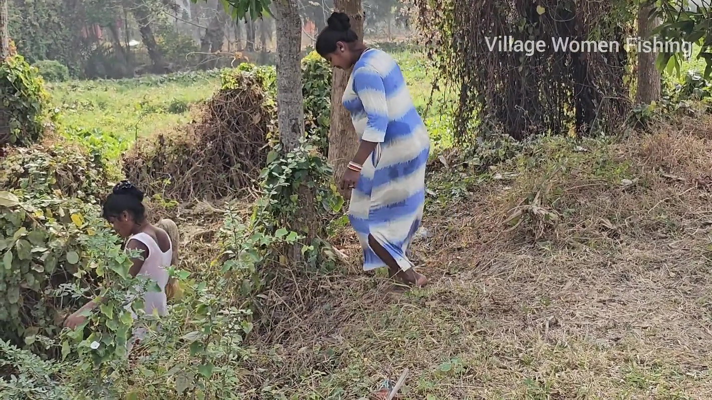Incredible Big Chitol fish caught by Village Women