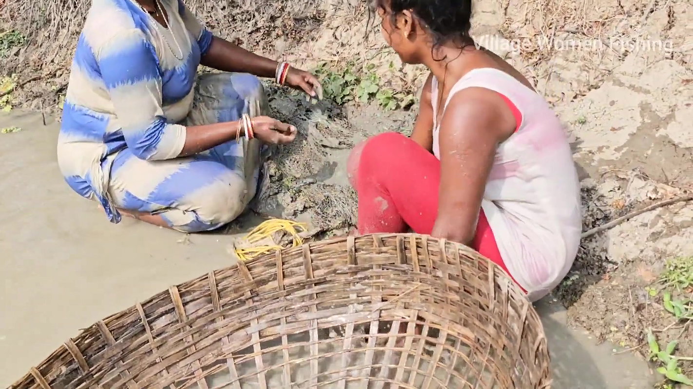 Incredible Big Chitol fish caught by Village Women