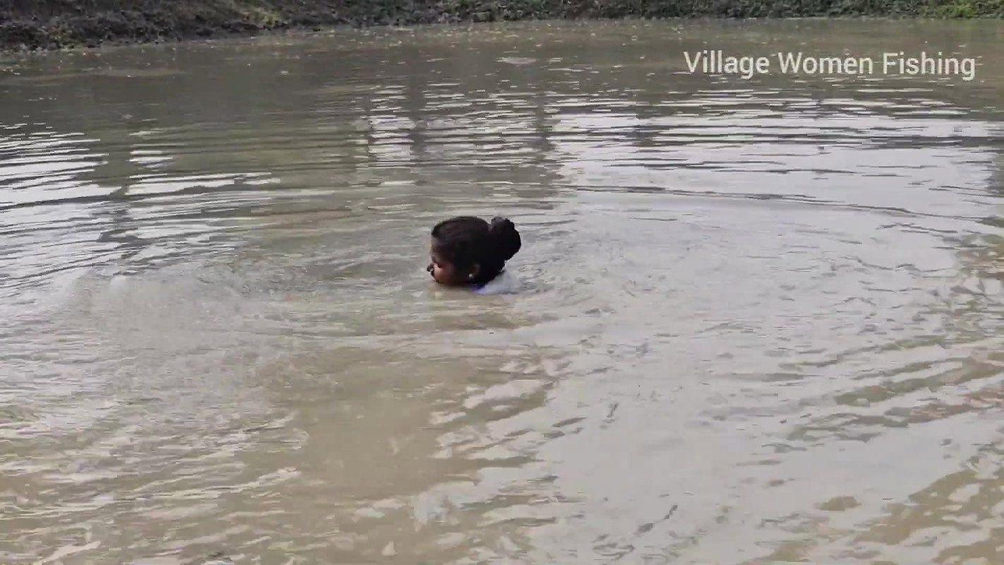 Incredible Big Chitol fish caught by Village Women