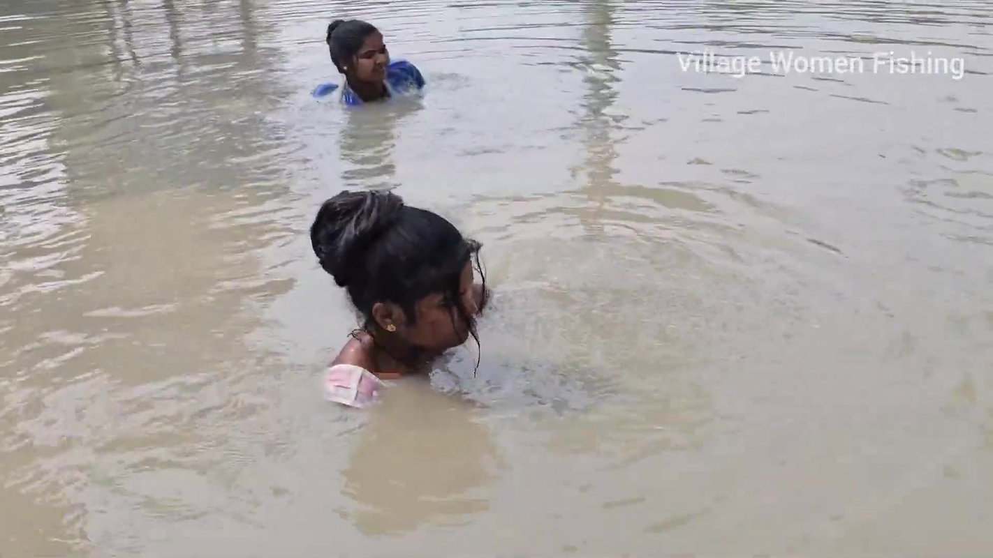 Incredible Big Chitol fish caught by Village Women