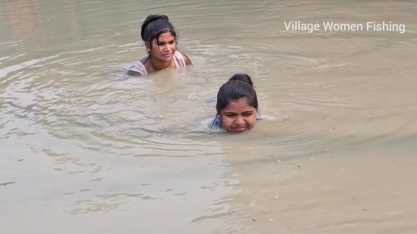 Incredible Big Chitol fish caught by Village Women
